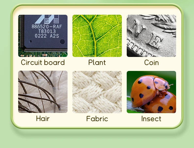 Kids Digital Microscope – Explore the Micro World!